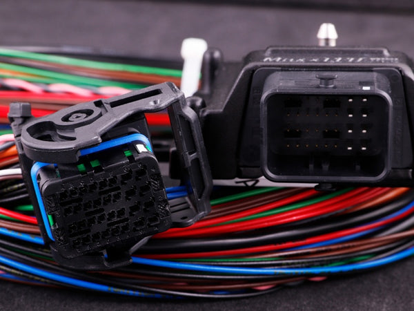 MaxxECU 8HP Harness