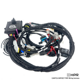 CANTCU 8HP / DCT PNP Wiring Harness