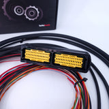 Turbolamik | TCU Controller and basic harness | Transmission Control Unit